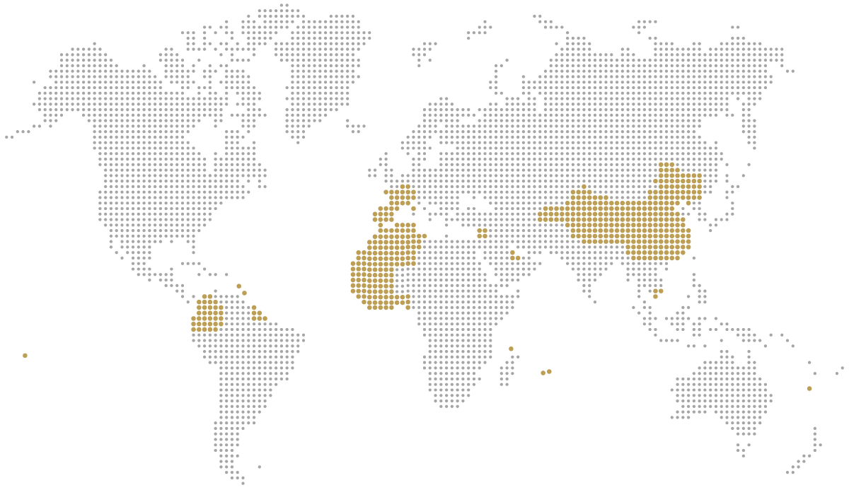 Implantación internacional