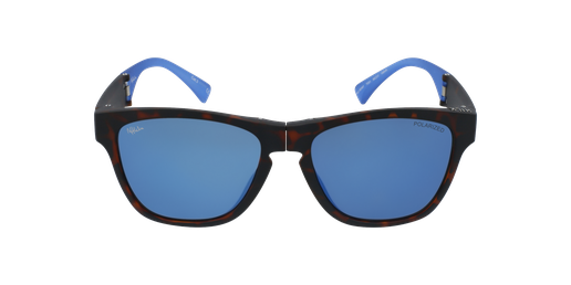 GAFAS DE SOL hombre GEANT carey/azul