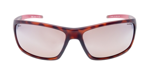 GAFAS DE SOL CORY POLARIZED carey