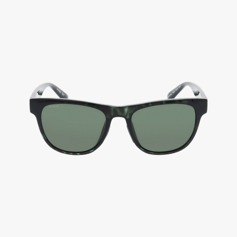 GAFAS DE SOL hombre CHALAMEL carey/morado