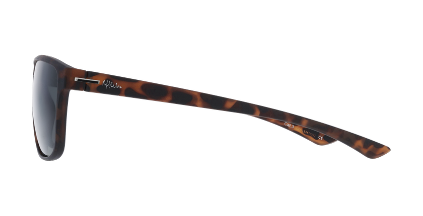 GAFAS DE SOL hombre BORJA carey - vista de frente