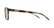GAFAS GRADUADAS hombre MAGIC 46 carey - vista de lado