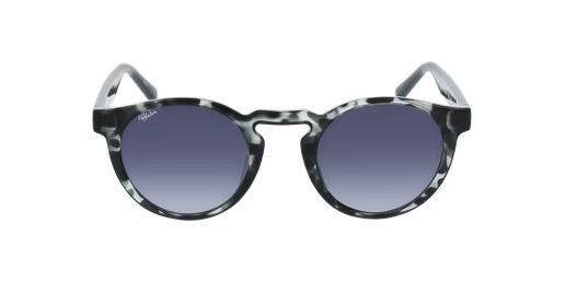 GAFAS DE SOL AZANO carey/negro vista de frente