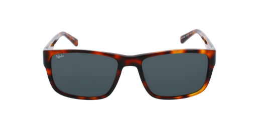 GAFAS DE SOL hombre COLOGNY carey