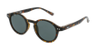 GAFAS DE SOL niños LIO carey - vista de frente