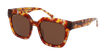 GAFAS DE SOL mujer LEONIE carey - vista de frente