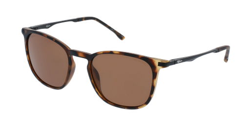 GAFAS DE SOL hombre TRENT POLARIZED carey/negro