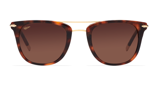 Gafas de sol hombre MACKAY carey - danio.store.product.image_view_face Gafas de sol hombre MACKAY carey - danio.store.product.image_view_face