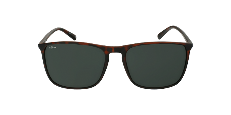 Gafas de sol hombre PARDO careyvista de frente Gafas de sol hombre PARDO careyvista de frente