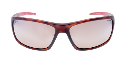 GAFAS DE SOL CORY POLARIZED carey