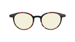RC248YE01