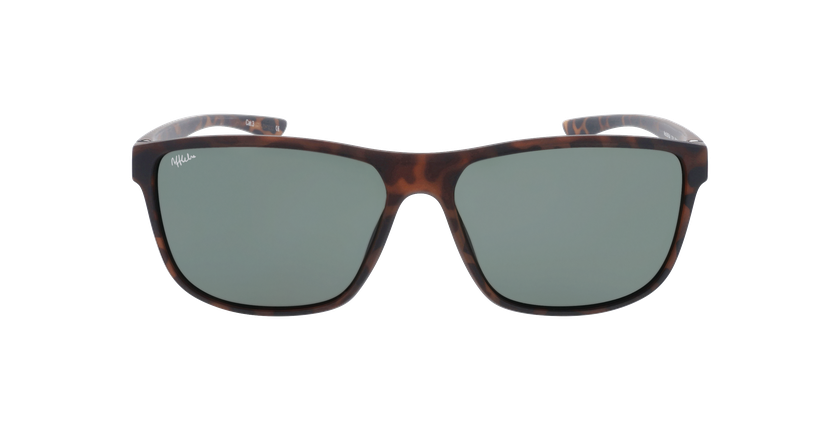 GAFAS DE SOL hombre BORJA carey - vista de frente