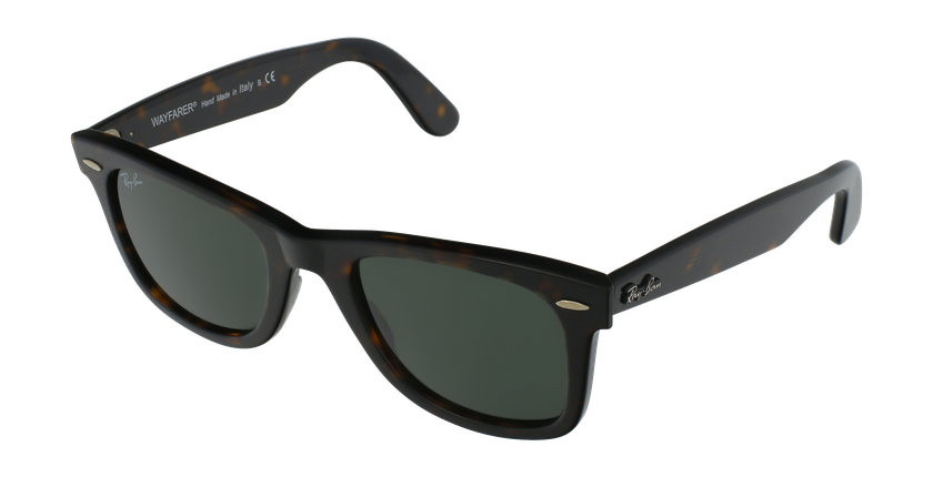 GAFAS DE SOL WAYFARER carey - vista de frente