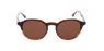 GAFAS DE SOL hombre COMETE marrón