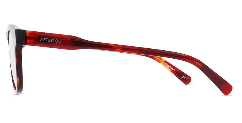 GAFAS GRADUADAS hombre CARACTÈRES ÉLÉGANT carey - vista de frente