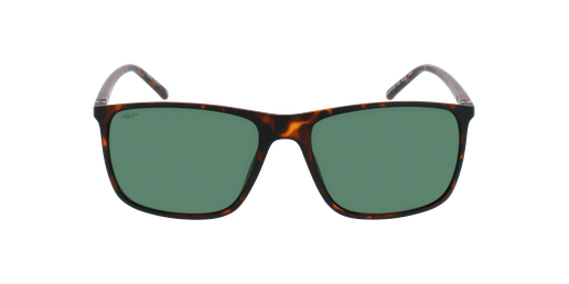 GAFAS DE SOL hombre GORDON POLARIZED carey vista de frente