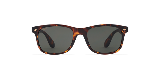 GAFAS DE SOL hombre CARUCEDO carey
