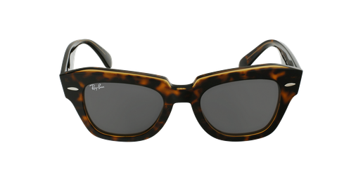 GAFAS DE SOL STATE STREET carey/marrón