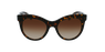 GAFAS DE SOL mujer 0DG4311 carey