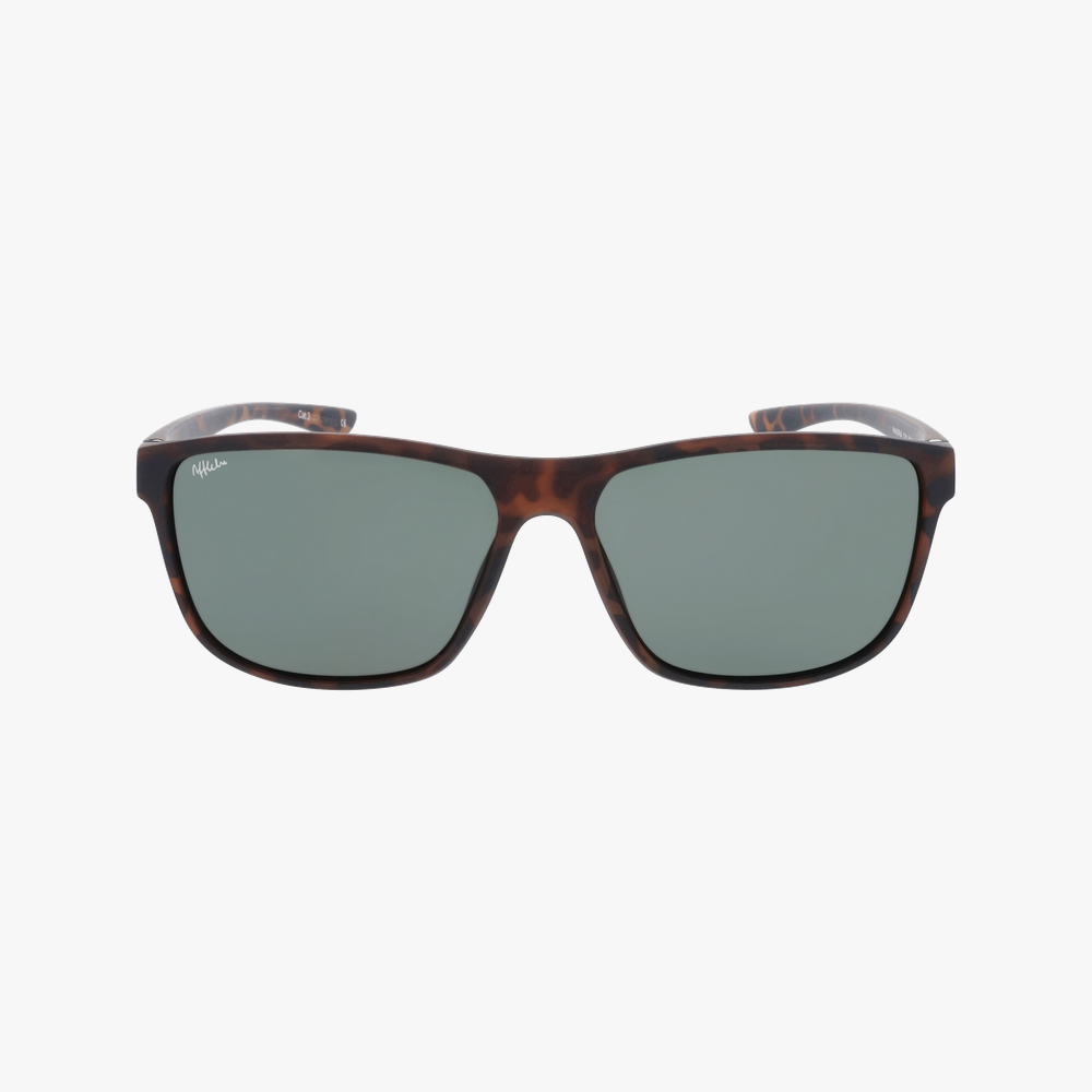 GAFAS DE SOL hombre BORJA carey - vista de frente