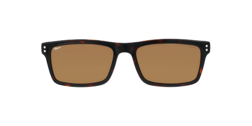 HC206POBR