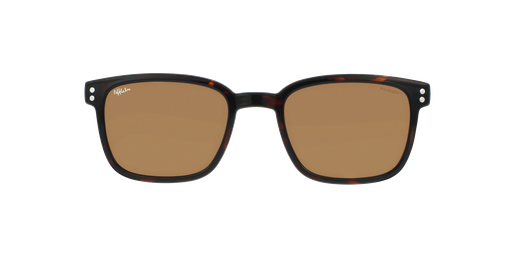 HC210POBR