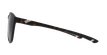 GAFAS DE SOL BUZZY POLARIZED carey - vista de frente