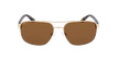 GAFAS DE SOL hombre ANDEO dorado/carey - vista de frente