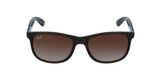 GAFAS DE SOL hombre ANDY marrón vista de frente