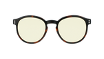 HC208YE01