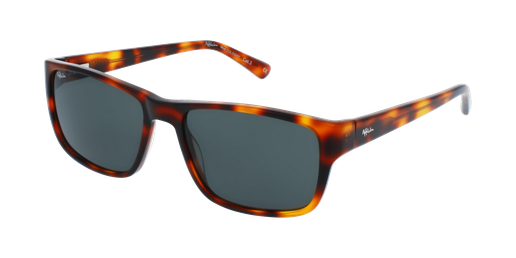 GAFAS DE SOL hombre COLOGNY carey