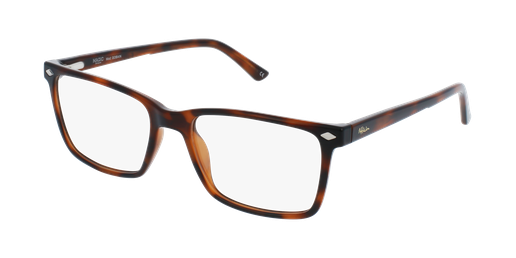 GAFAS GRADUADAS hombre MAGIC GOBAIN marrón