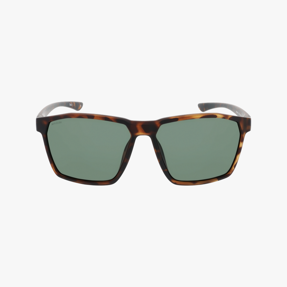 GAFAS DE SOL hombre DINO carey - vista de frente