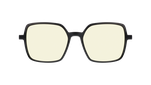 RC251YE01
