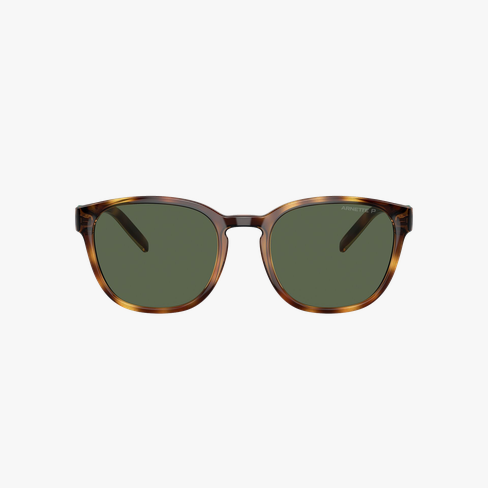 GAFAS DE SOL hombre 0AN4319 carey vista de frente