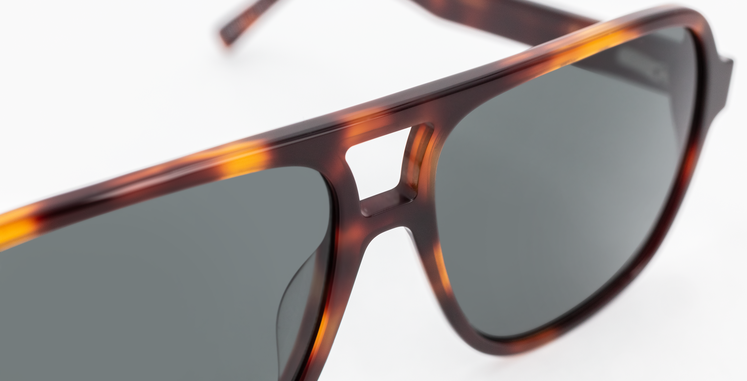 GAFAS DE SOL hombre DIMITRI carey