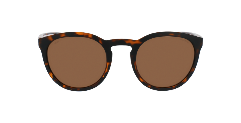 GAFAS DE SOL BUZZY POLARIZED carey - vista de frente