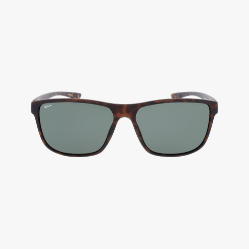 GAFAS DE SOL hombre BORJA carey vista de frente