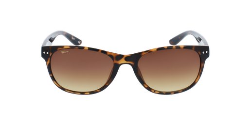 GAFAS DE SOL MAMBO careyvista de frente