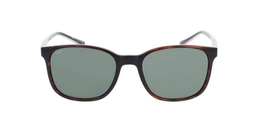 GAFAS DE SOL hombre CAYETANO carey - vista de frente