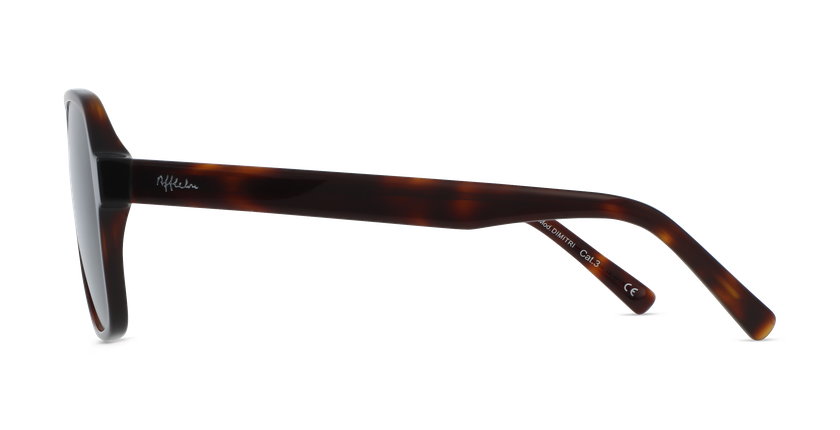 GAFAS DE SOL hombre DIMITRI carey - vista de frente