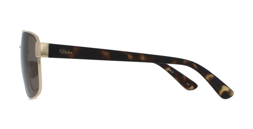 GAFAS DE SOL hombre ANDEO dorado/carey - vista de frente