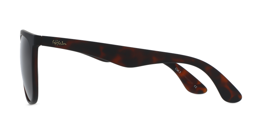 GAFAS DE SOL hombre MAZO carey - vista de frente