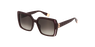 GAFAS DE SOL mujer SFU707 bordeaux