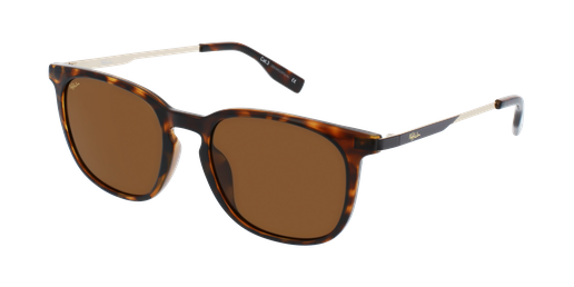 GAFAS DE SOL hombre OZANES carey/dorado