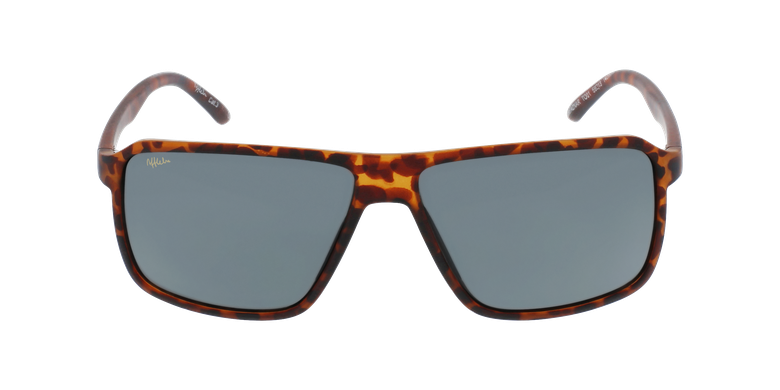 Gafas de sol hombre AZNAR careyvista de frente Gafas de sol hombre AZNAR careyvista de frente