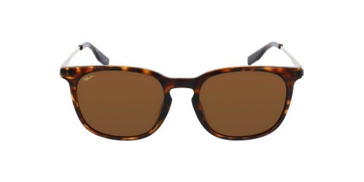 GAFAS DE SOL hombre OZANES carey/doradovista de frente