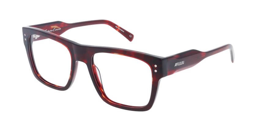 GAFAS GRADUADAS hombre CARACTÈRES INGÉNIEUX carey - vista de frente