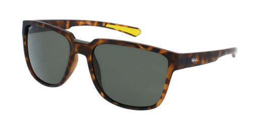 GAFAS DE SOL hombre BERTO carey