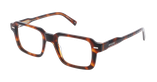 GAFAS GRADUADAS hombre CARACTÈRES SPONTANÉ carey - vista de frente